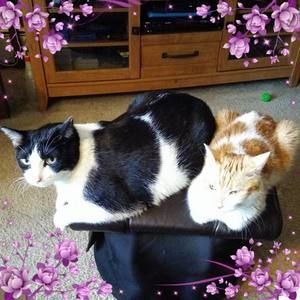 Meet your Posher, Stacy